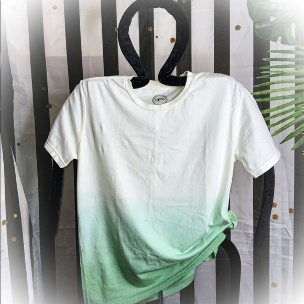 NWOT ORIGINAL PAPERBACKS MENS MINT GREEN OMBRÉ RELAXED TEE SIZE SMALL